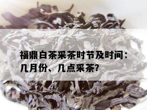 福鼎白茶采茶时节及时间：几月份、几点采茶？