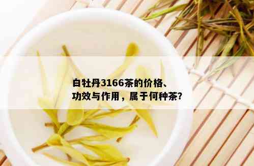 白牡丹3166茶的价格、功效与作用，属于何种茶？