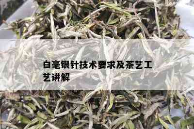 白毫银针技术要求及茶艺工艺讲解