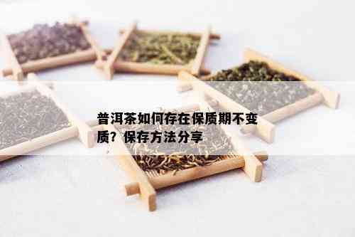 普洱茶如何存在保质期不变质？保存方法分享