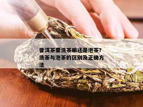 普洱茶要洗茶嘛还是泡茶？洗茶与泡茶的区别及正确方法