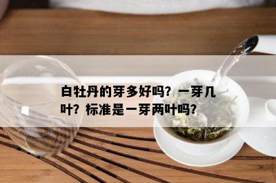 白牡丹的芽多好吗？一芽几叶？标准是一芽两叶吗？