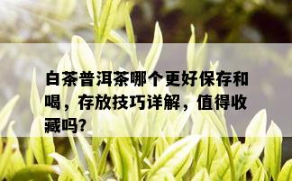 白茶普洱茶哪个更好保存和喝，存放技巧详解，值得收藏吗？