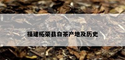 福建柘荣县白茶产地及历史