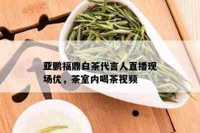 亚鹏福鼎白茶代言人直播现场优，茶室内喝茶视频