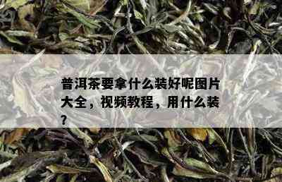 普洱茶要拿什么装好呢图片大全，视频教程，用什么装？