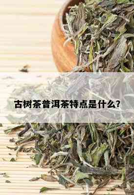 古树茶普洱茶特点是什么？