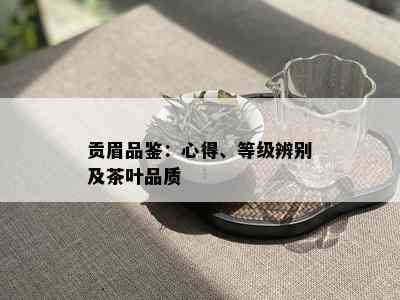 贡眉品鉴：心得、等级辨别及茶叶品质