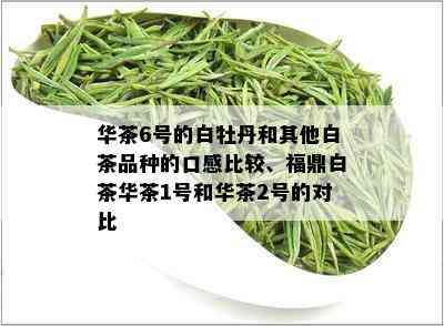 华茶6号的白牡丹和其他白茶品种的口感比较、福鼎白茶华茶1号和华茶2号的对比