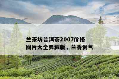 兰茶坊普洱茶2007价格图片大全典藏版，兰香贵气