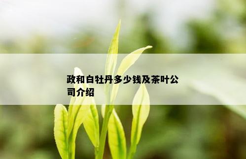 政和白牡丹多少钱及茶叶公司介绍