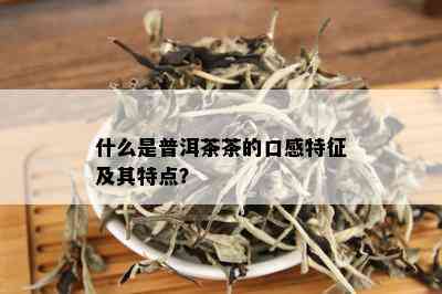 什么是普洱茶茶的口感特征及其特点？