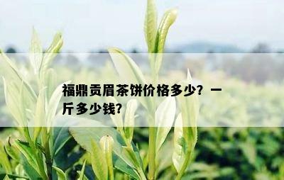 福鼎贡眉茶饼价格多少？一斤多少钱？