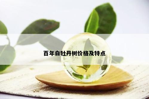 百年白牡丹树价格及特点