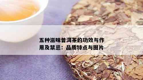 五种滋味普洱茶的功效与作用及禁忌：品质特点与图片