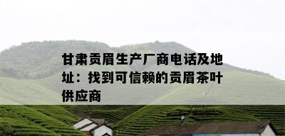 甘肃贡眉生产厂商电话及地址：找到可信赖的贡眉茶叶供应商