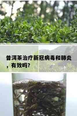 普洱茶治疗新冠病和肺炎，有效吗？