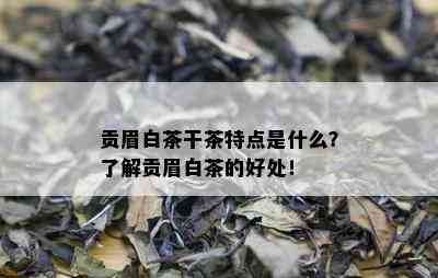 贡眉白茶干茶特点是什么？了解贡眉白茶的好处！