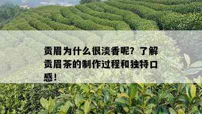 贡眉为什么很淡香呢？了解贡眉茶的制作过程和独特口感！