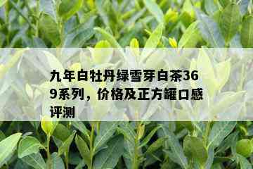 九年白牡丹绿雪芽白茶369系列，价格及正方罐口感评测