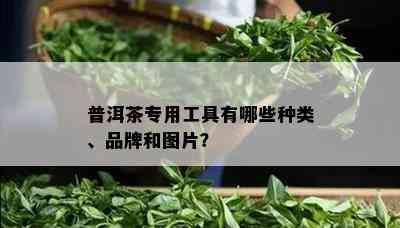 普洱茶专用工具有哪些种类、品牌和图片？