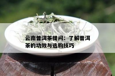 云南普洱茶提问：了解普洱茶的功效与选购技巧