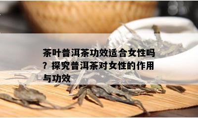 茶叶普洱茶功效适合女性吗？探究普洱茶对女性的作用与功效