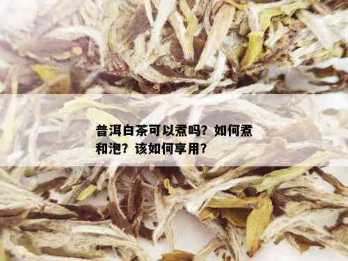 普洱白茶可以煮吗？如何煮和泡？该如何享用？