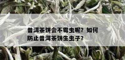 普洱茶饼会不霉虫呢？如何防止普洱茶饼生虫子？