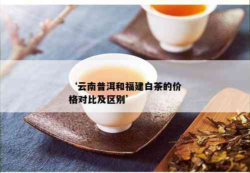 ‘云南普洱和福建白茶的价格对比及区别’