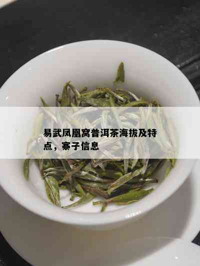 易武凤凰窝普洱茶海拔及特点，寨子信息