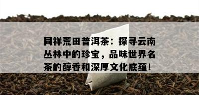 同祥荒田普洱茶：探寻云南丛林中的珍宝，品味世界名茶的醇香和深厚文化底蕴！