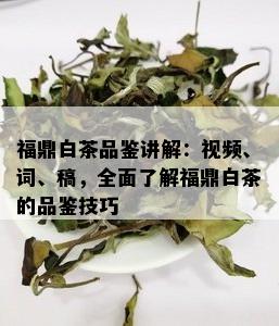 福鼎白茶品鉴讲解：视频、词、稿，全面了解福鼎白茶的品鉴技巧