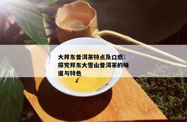 大邦东普洱茶特点及口感：探究邦东大雪山普洱茶的味道与特色