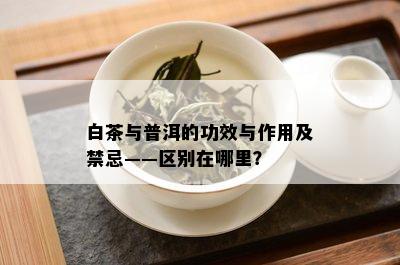 白茶与普洱的功效与作用及禁忌——区别在哪里？