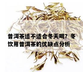 普洱茶适不适合冬天喝？冬饮用普洱茶的优缺点分析