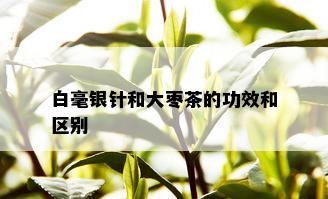 白毫银针和大枣茶的功效和区别