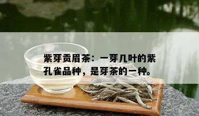 紫芽贡眉茶：一芽几叶的紫孔雀品种，是芽茶的一种。