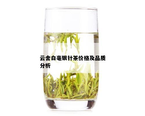 云舍白毫银针茶价格及品质分析