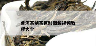 普洱茶制茶区别图解视频教程大全