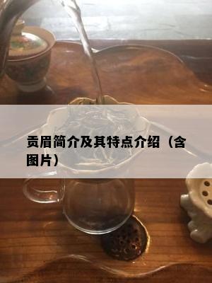 贡眉简介及其特点介绍（含图片）