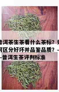 普洱茶生茶看什么茶标？如何区分好坏并品鉴品质？——普洱生茶评判标准