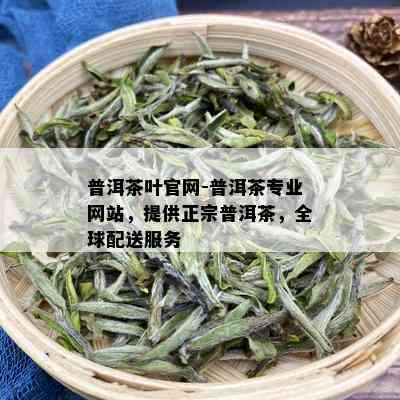 普洱茶叶官网-普洱茶专业网站，提供正宗普洱茶，全球配送服务