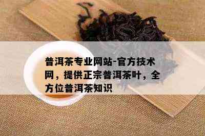 普洱茶专业网站-官方技术网，提供正宗普洱茶叶，全方位普洱茶知识