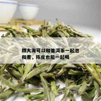 胖大海可以和普洱茶一起泡和煮，陈皮也能一起喝