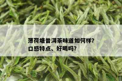 薄荷塘普洱茶味道如何样？口感特点、好喝吗？