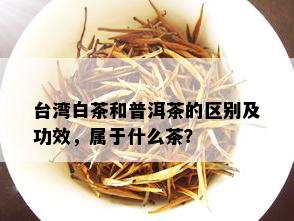 台湾白茶和普洱茶的区别及功效，属于什么茶？