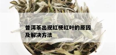 普洱茶出现红梗红叶的原因及解决方法