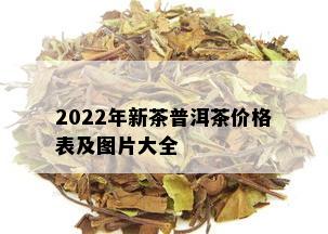 2022年新茶普洱茶价格表及图片大全