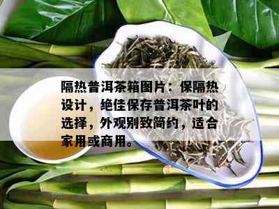 隔热普洱茶箱图片：保隔热设计，绝佳保存普洱茶叶的选择，外观别致简约，适合家用或商用。